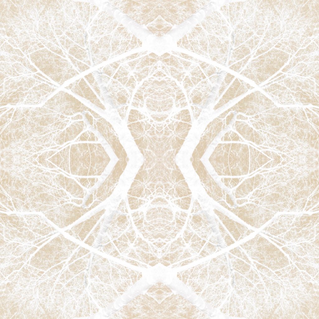 Works 4